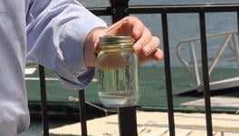How to Check for Water in Gas Tank